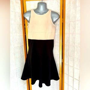 🔥SALE! Anne Taylor Dress